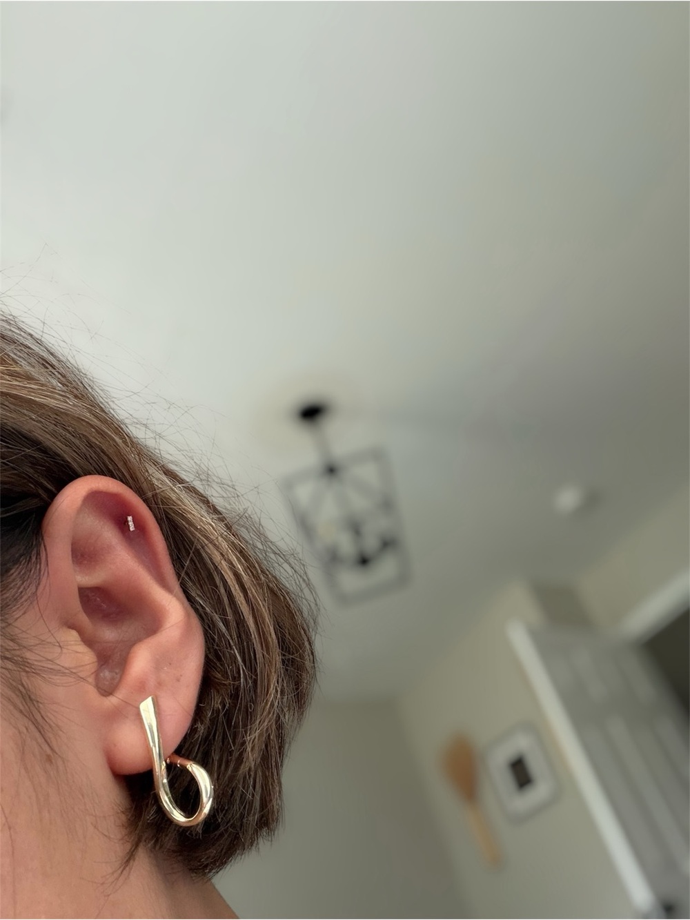 Gold Loop Fashion Earrings - Unbranded